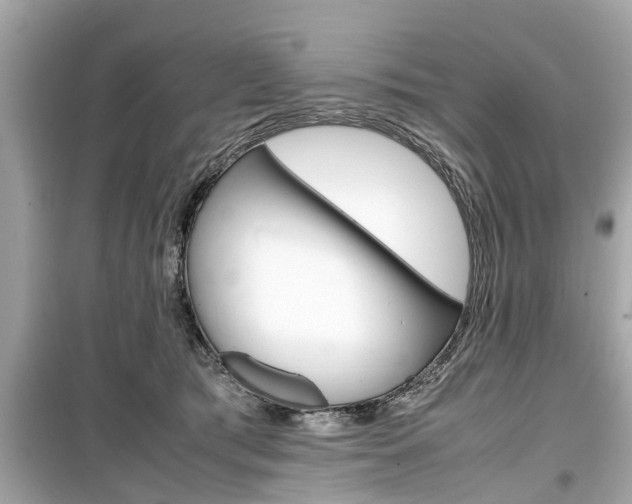 X0000099550417200805160731