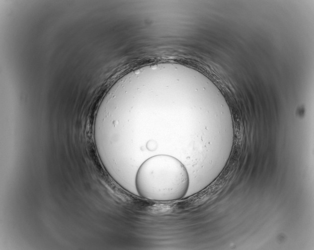 X0000099550418200805160731