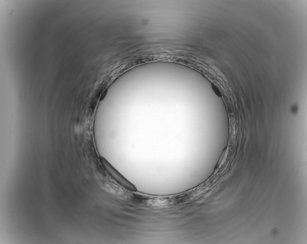 X0000099550419200805160731