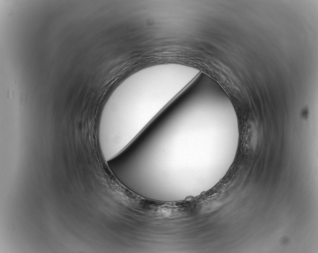 X0000099550420200805160731