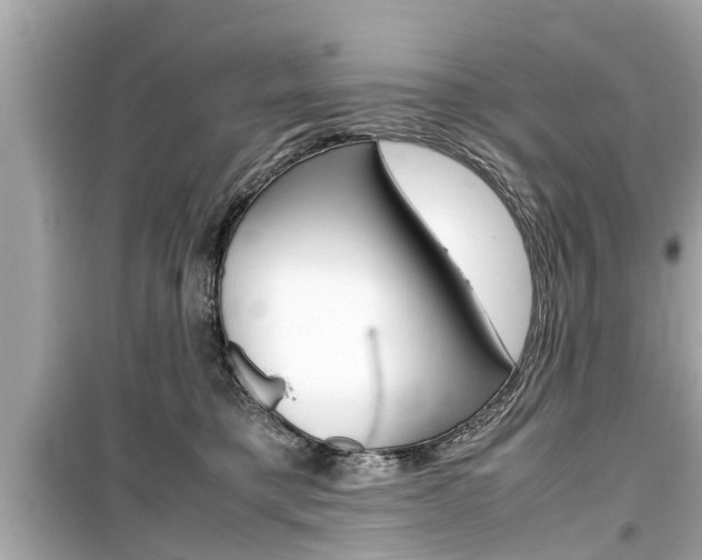 X0000099550421200805160731