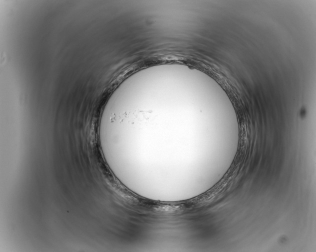X0000099550422200805160731