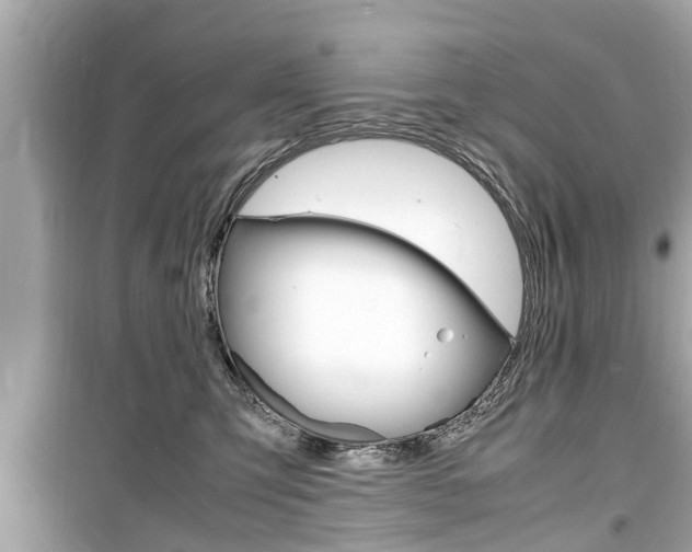 X0000099550423200805160731