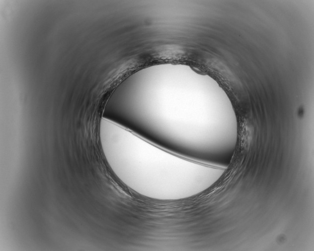 X0000099550428200805160731