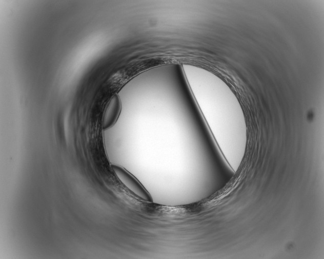 X0000099550429200805160731