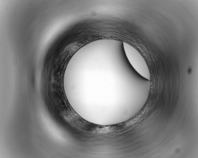 X0000099550430200805160731