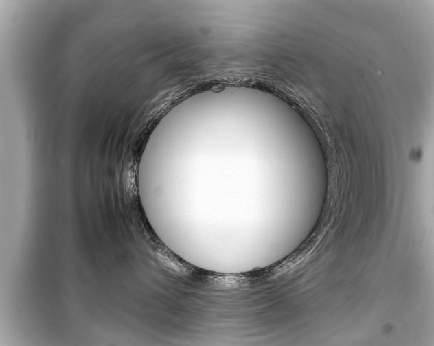 X0000099550432200805160731