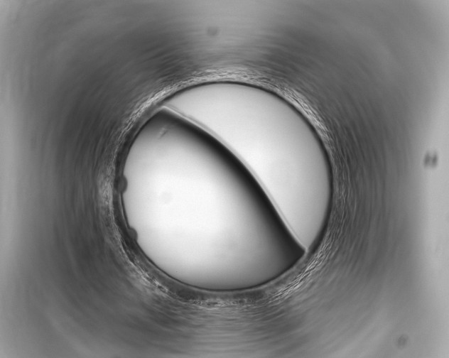 X0000099550434200805160730