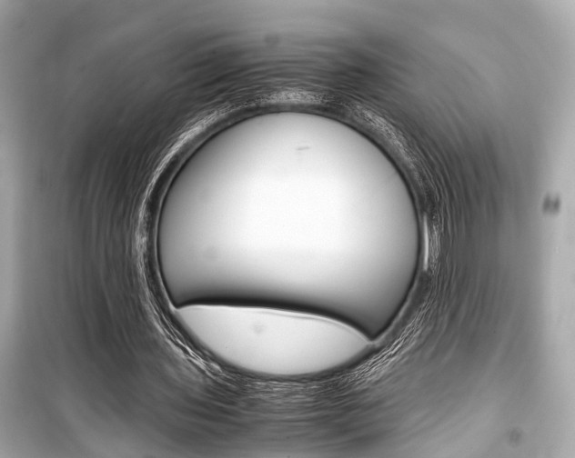 X0000099550435200805160730