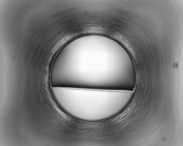 X0000099550437200805160730