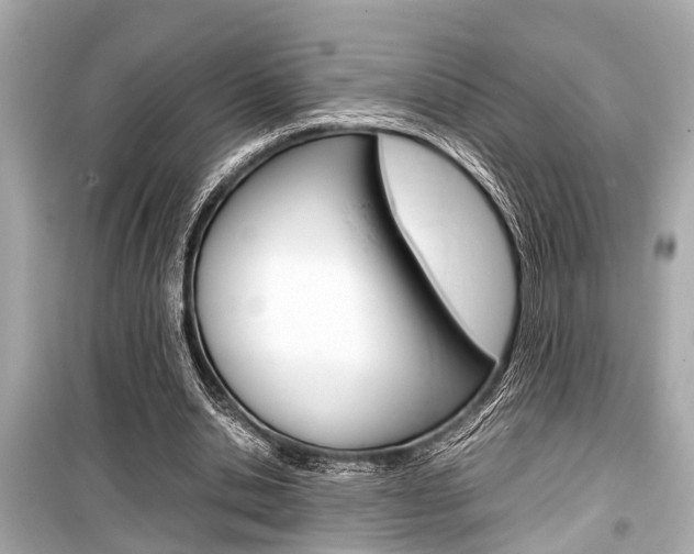X0000099550438200805160730