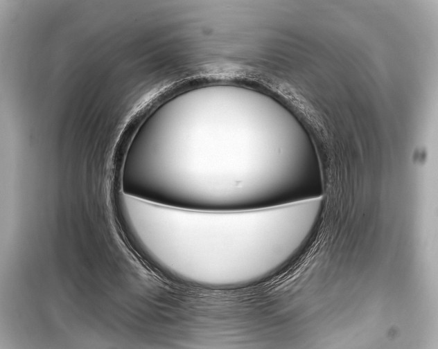 X0000099550440200805160730