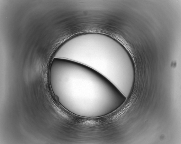 X0000099550441200805160730