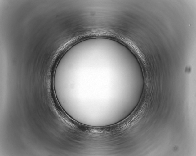 X0000099550442200805160730