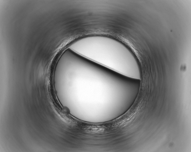 X0000099550443200805160730