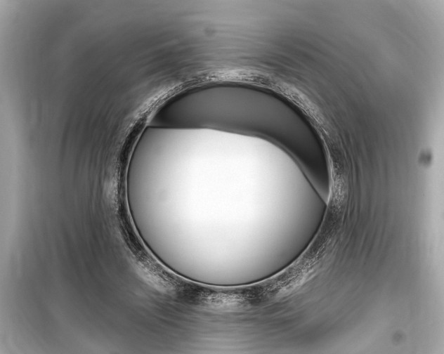 X0000099550444200805160730