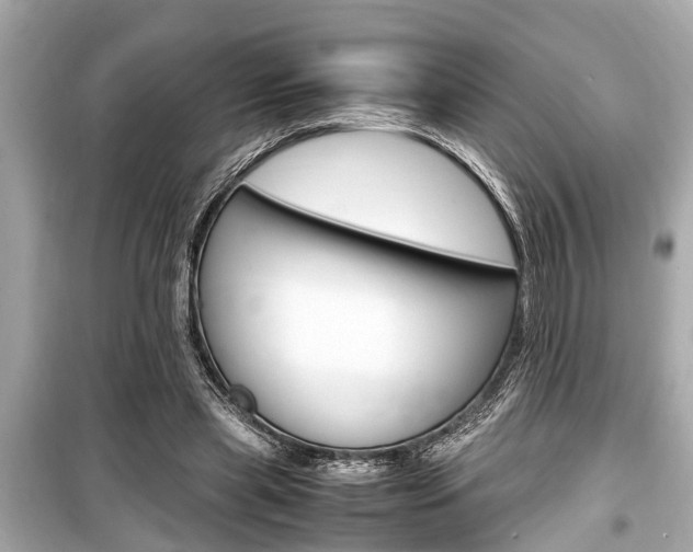 X0000099550445200805160730