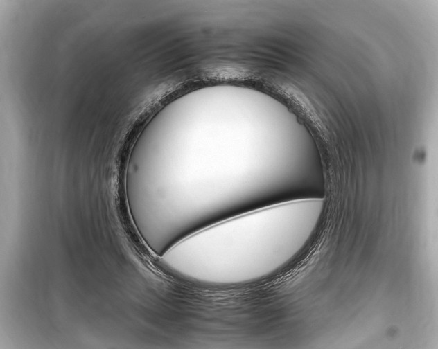 X0000099550447200805160730