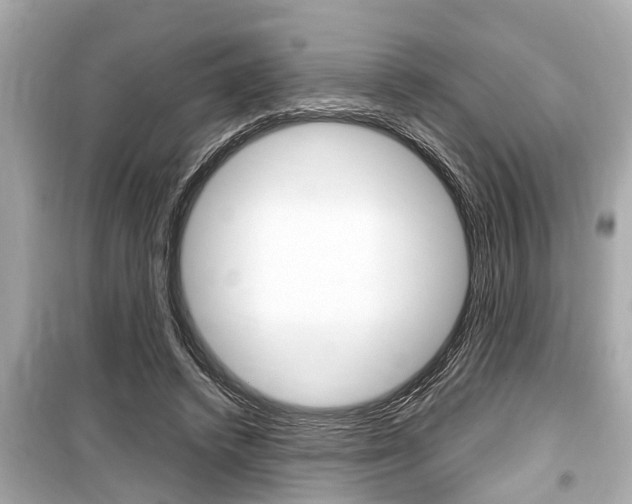 X0000099550448200805160730