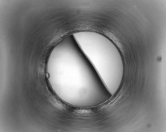 X0000099550449200805160730