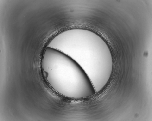 X0000099550450200805160730