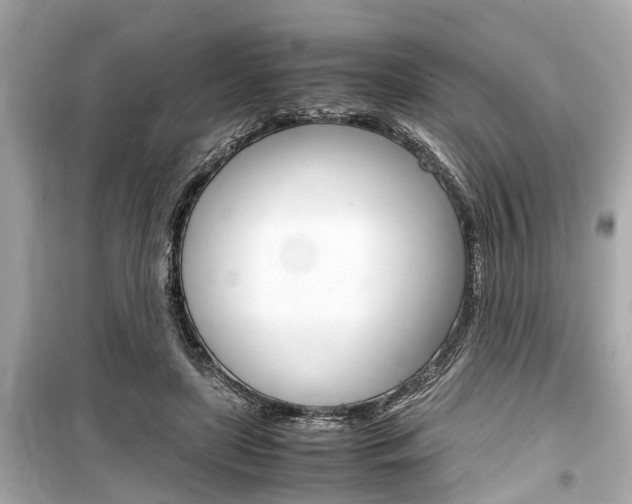 X0000099550451200805160730