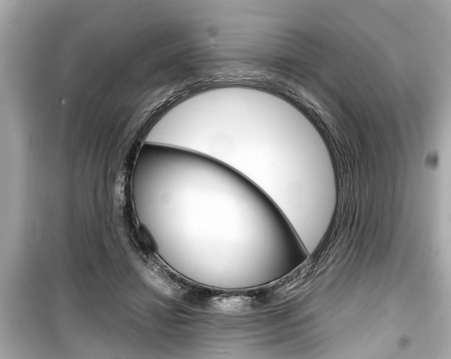 X0000099550452200805160730