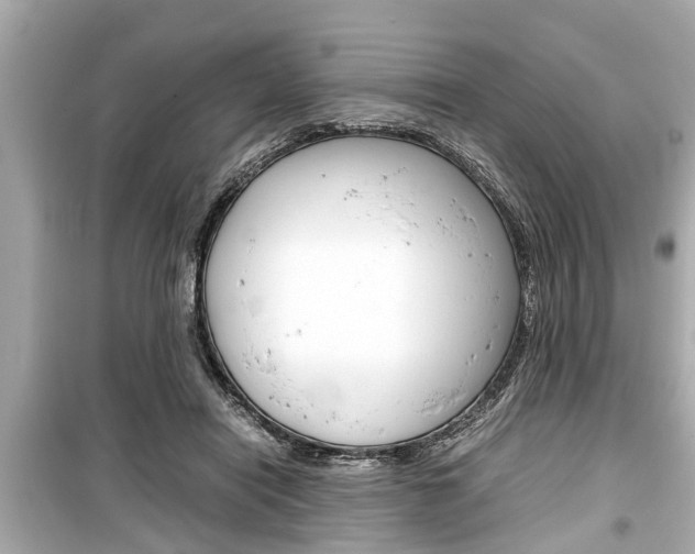 X0000099550454200805160730
