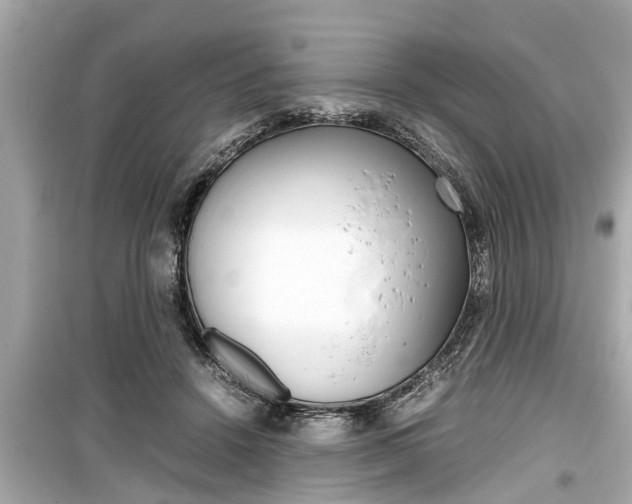 X0000099550456200805160730