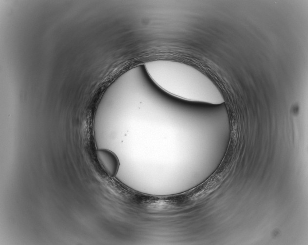 X0000099550460200805160730