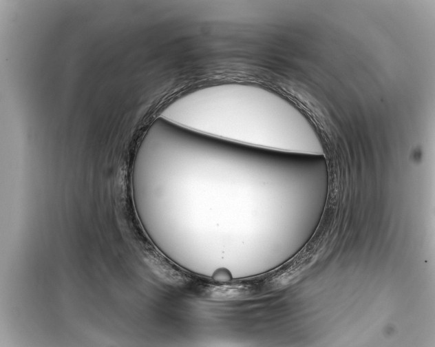 X0000099550461200805160730