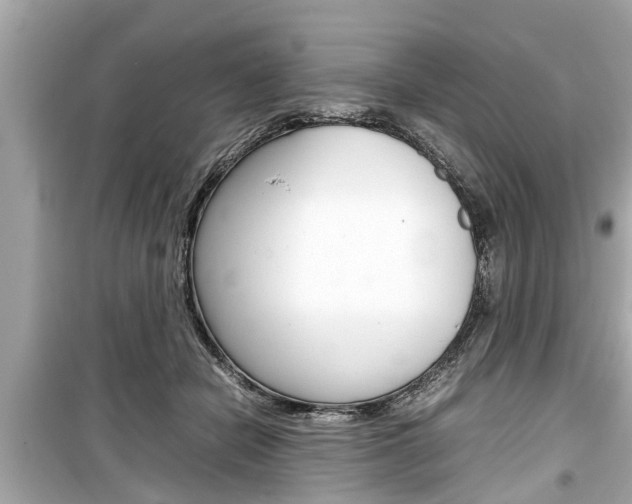 X0000099550462200805160730