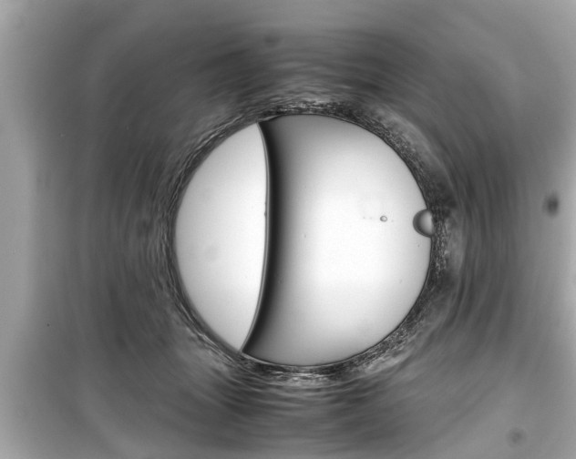 X0000099550463200805160730