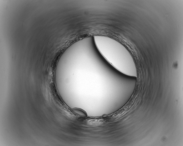 X0000099550465200805160730