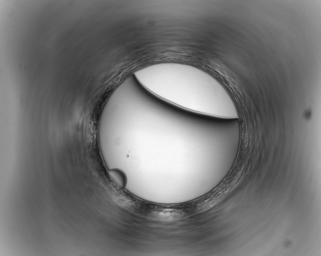 X0000099550467200805160730