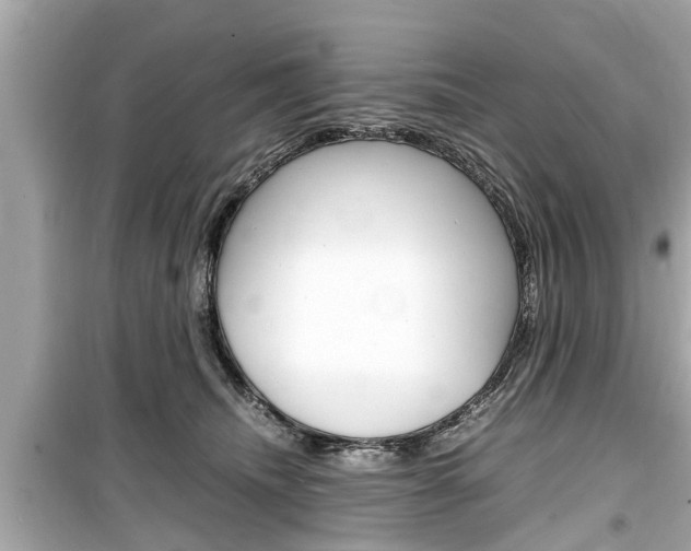 X0000099550468200805160730