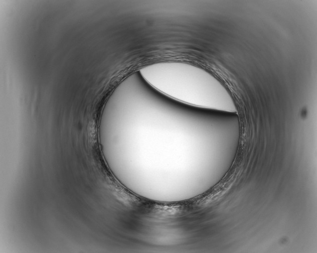 X0000099550469200805160730