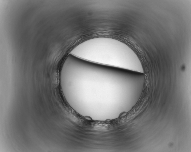 X0000099550471200805160730