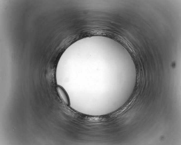 X0000099550473200805160730