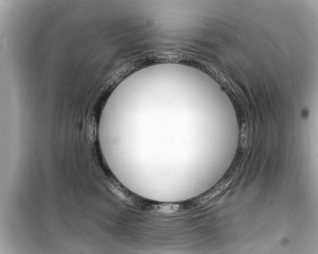 X0000099550474200805160731