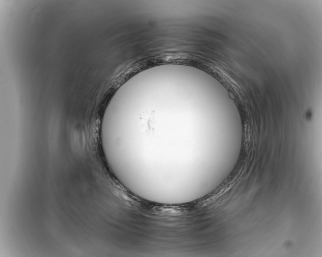 X0000099550475200805160731
