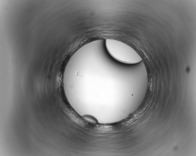 X0000099550476200805160731