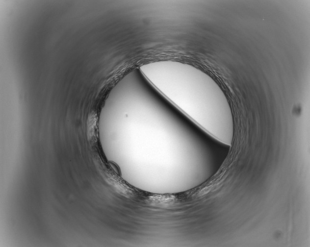 X0000099550480200805160731