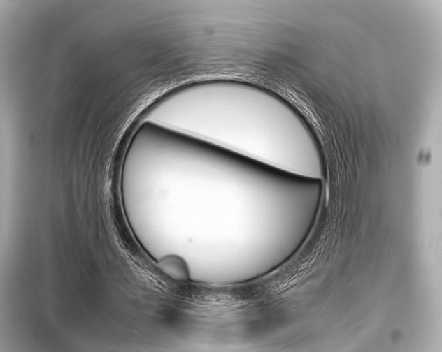 X0000099550483200805160730
