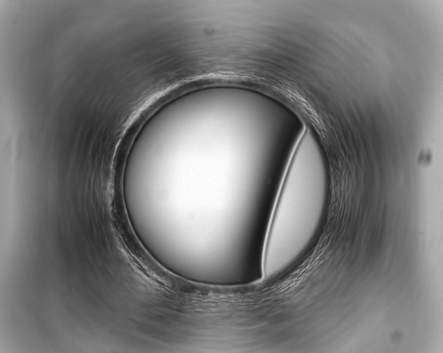 X0000099550484200805160730