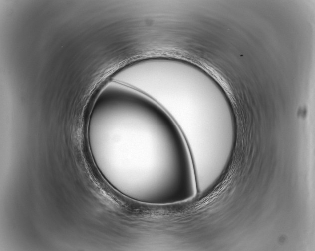 X0000099550485200805160730