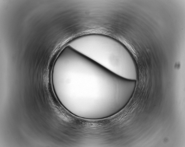 X0000099550486200805160730
