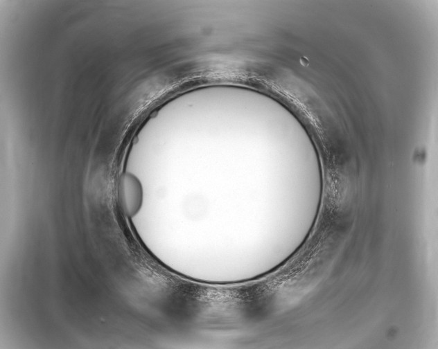 X0000099550487200805160730