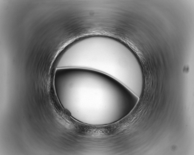X0000099550488200805160730