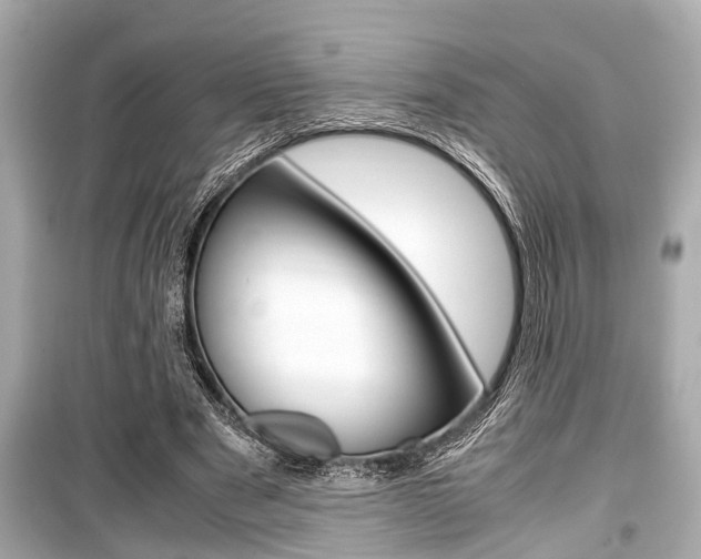 X0000099550489200805160730